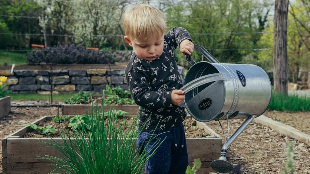 Creating a Low-Maintenance Oasis: Easy-Care Landscaping for Busy Southern Californians