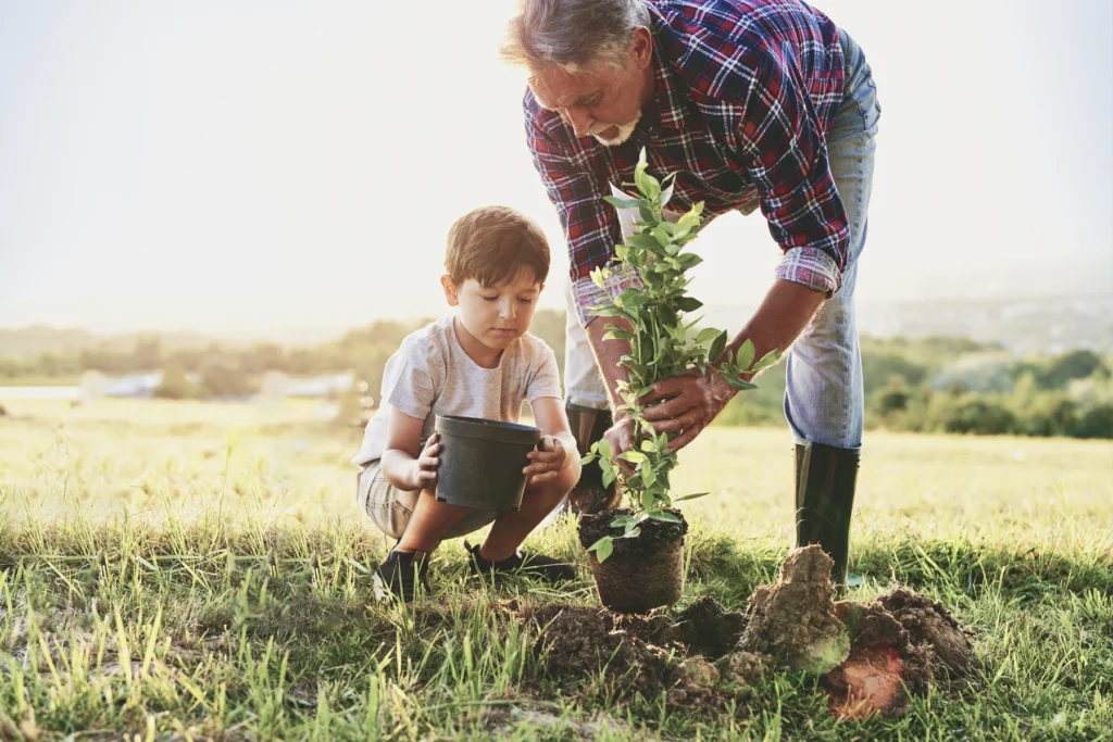 Planting a Promise: A Winter Guide to Tree Planting