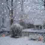 Festive Lighting Ideas for Your Winter Landscape